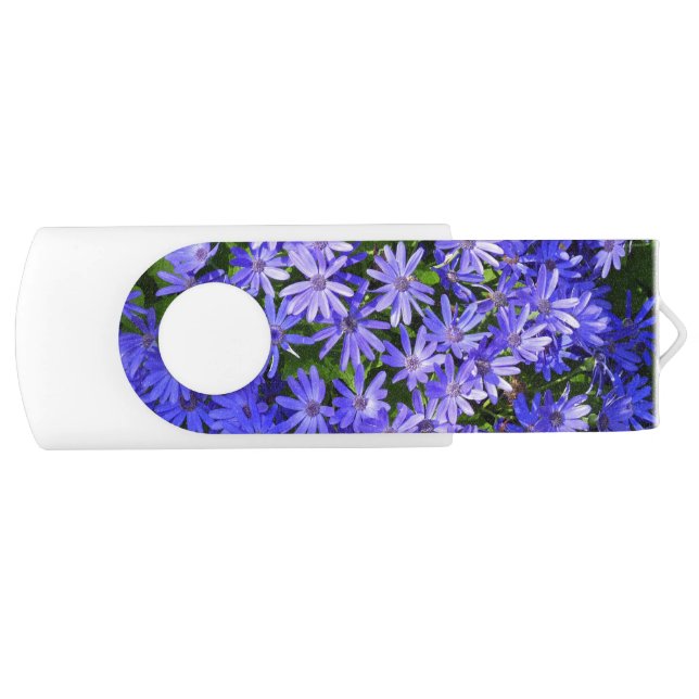 Blue Daisy-like Flowers Nature Photography Flash Drive (Front)