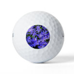 Blue Daisy-like Flowers Nature Photography Golf Balls