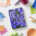 Blue Daisy-like Flowers Nature Photography iPad Pro Cover
