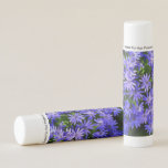 Blue Daisy-like Flowers Nature Photography Lip Balm