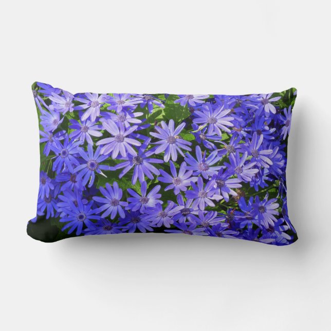 Blue Daisy-like Flowers Nature Photography Lumbar Pillow (Front)