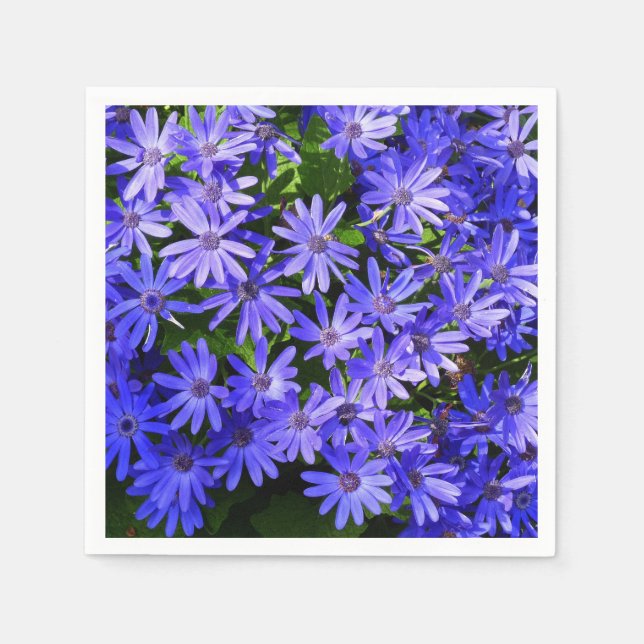 Blue Daisy-like Flowers Nature Photography Napkins (Front)