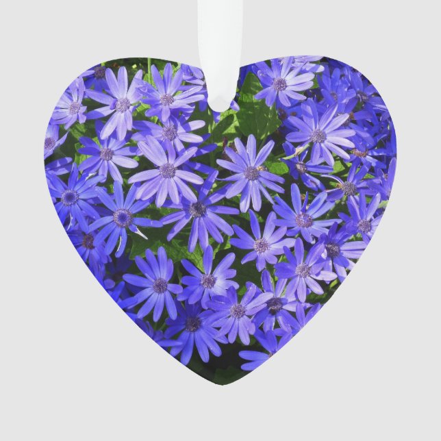 Blue Daisy-like Flowers Nature Photography Ornament (Front)