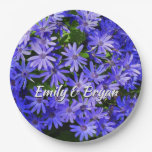 Blue Daisy-like Flowers Nature Photography Paper Plates