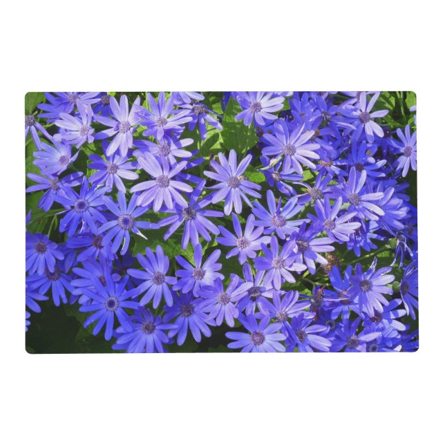 Blue Daisy-like Flowers Nature Photography Placemat (Front)