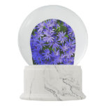 Blue Daisy-like Flowers Nature Photography Snow Globe