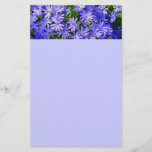 Blue Daisy-like Flowers Nature Photography Stationery