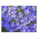 Blue Daisy-like Flowers Nature Photography Tissue Paper