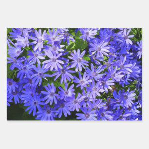 Blue Daisy-like Flowers Nature Photography Wrapping Paper Sheets