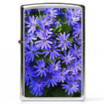 Blue Daisy-like Flowers Nature Photography Zippo Lighter