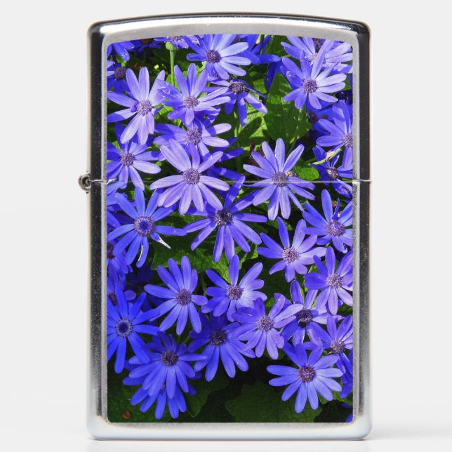 Blue Daisy-like Flowers Nature Photography Zippo Lighter (Front)