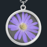 Blue Daisy Necklace Blue Daisy Gifts Keepsake<br><div class="desc">Blue Daisy Necklace Blue Daisy Classic Jewelry Beautiful Romantic Blue Daisy Gifts Necklaces Mementos Blue Daisy Jewelry Keepsakes & Gifts for Friend Family Men Women Kids Home & Office Original Stylish Daisy Keepsakes & Flower Gifts Design by Kim Hunter. See www.kimhunter.ca for many more Cards & Keepsakes Online.</div>