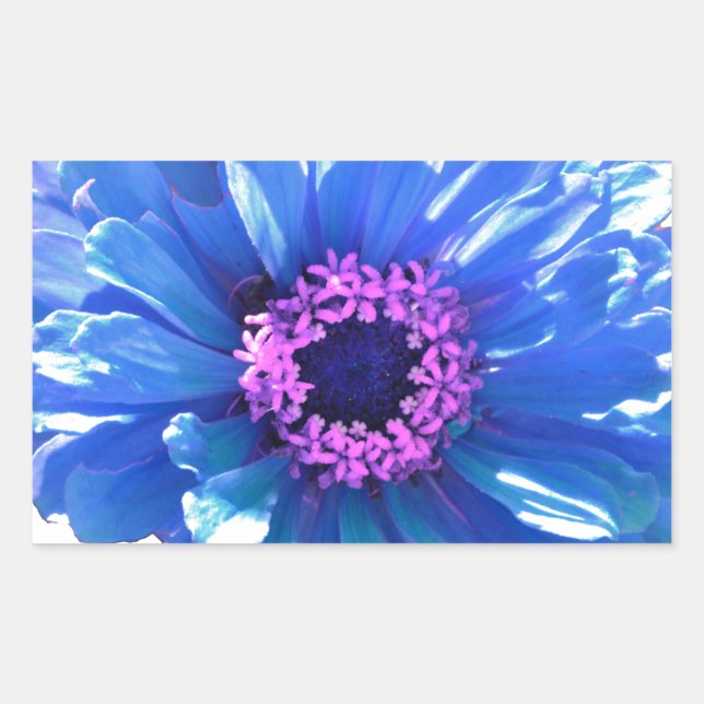 Blue Daisy Rectangular Sticker (Front)