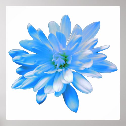 Blue daisy retro floral photo poster