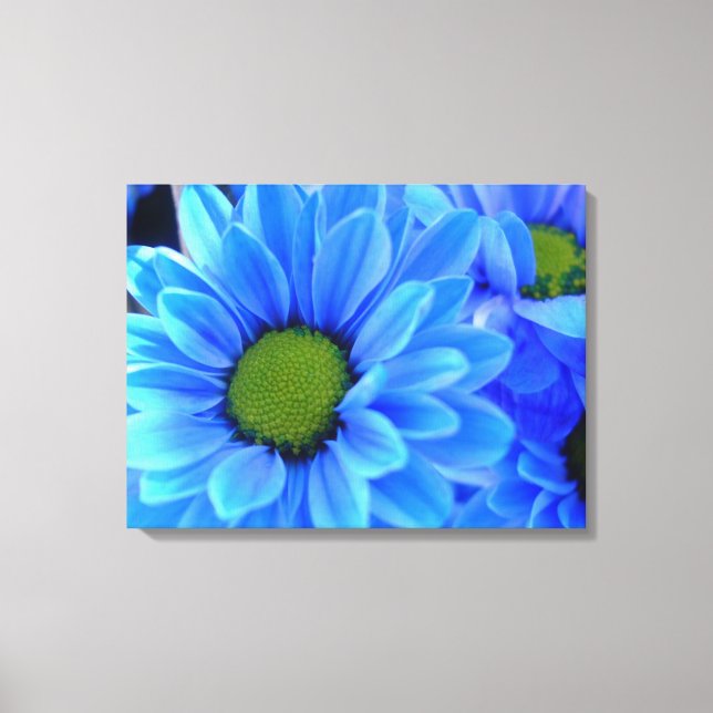 Blue Daisy Wrapped Canvas Print (Front)
