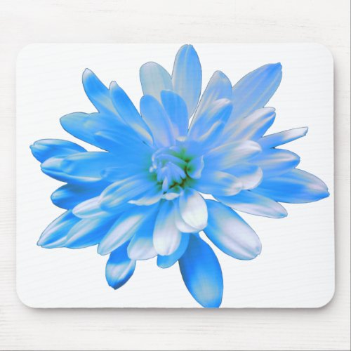 Blue daisy zinnia sunflower mouse pad