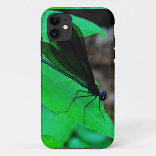Blue Damselfly on a green leaf iPhone 11 Case