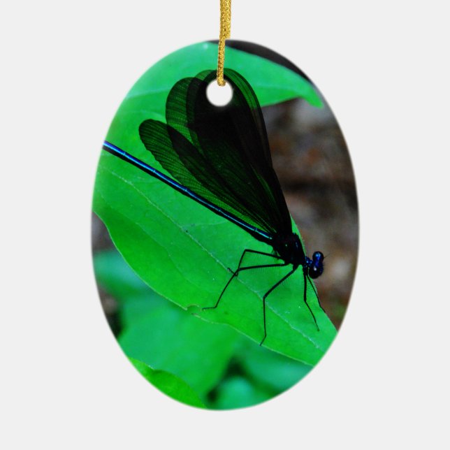 Blue Damselfly on a green leaf. Ceramic Ornament (Front)