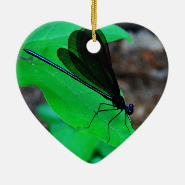 Blue Damselfly on a green leaf. Ceramic Ornament (Front)