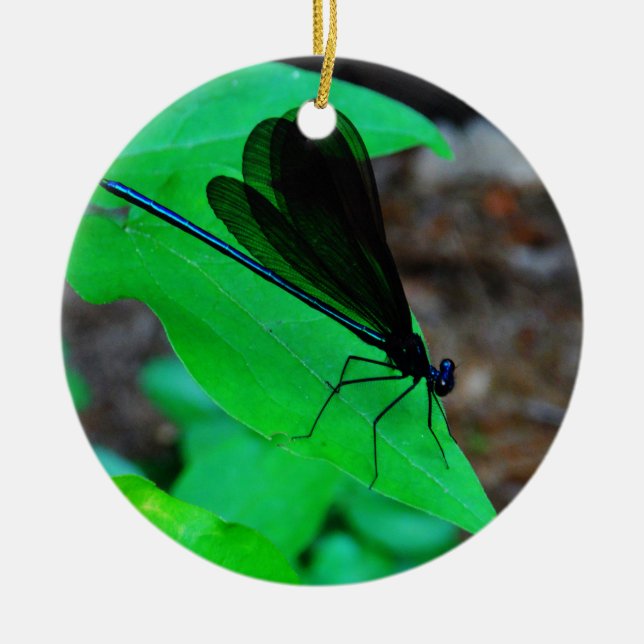 Blue Damselfly on a green leaf. Ceramic Ornament (Front)