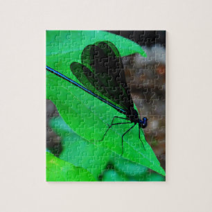 Blue Damselfly on a green leaf. Jigsaw Puzzle