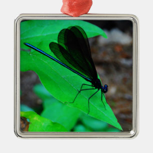 Blue Damselfly on a green leaf. Metal Ornament