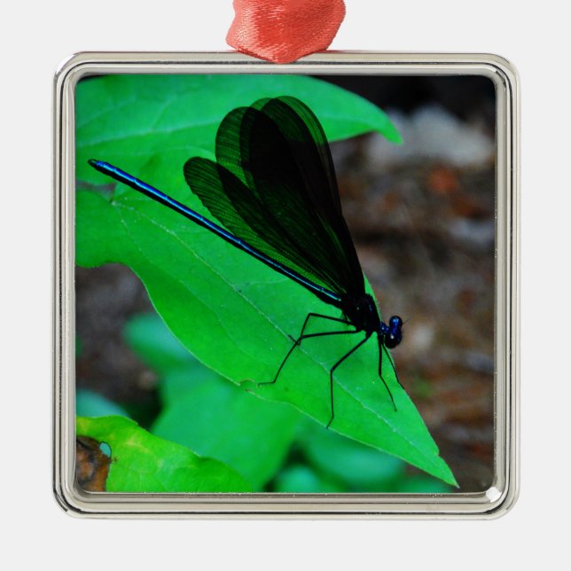 Blue Damselfly on a green leaf. Metal Ornament (Front)