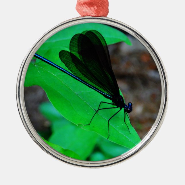 Blue Damselfly on a green leaf. Metal Ornament (Front)