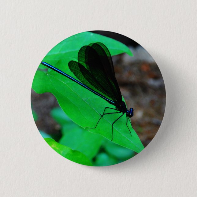 Blue Damselfly on a green leaf. Pinback Button (Front)