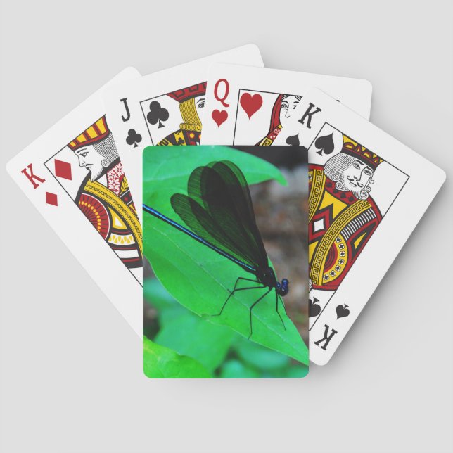 Blue Damselfly on a green leaf. Poker Cards (Back)