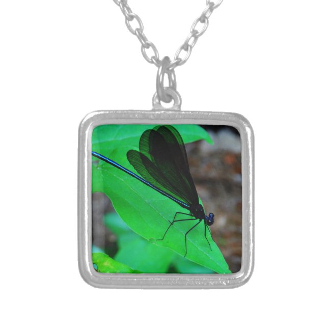 Blue Damselfly on a green leaf. Silver Plated Necklace (Front)
