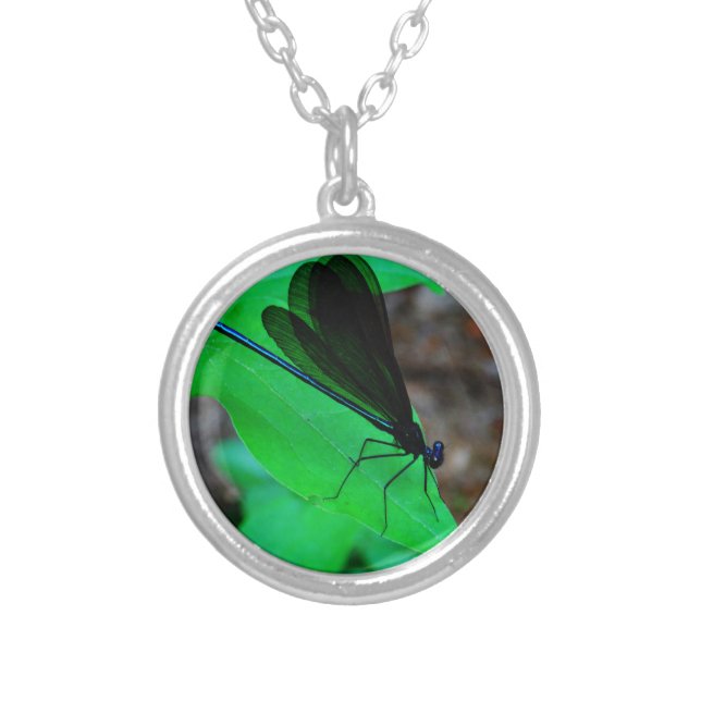 Blue Damselfly on a green leaf. Silver Plated Necklace (Front)