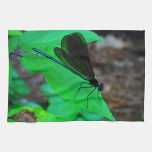 Blue Damselfly on a green leaf. Towel