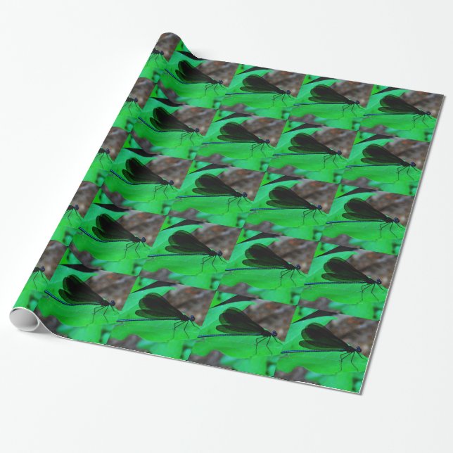 Blue Damselfly on a green leaf. Wrapping Paper (Unrolled)