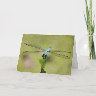 Blue Dasher Card