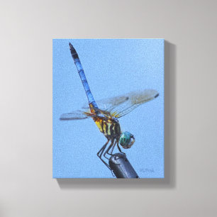 Blue Dasher Dragonfly in "Obelisk Posture" Canvas Print