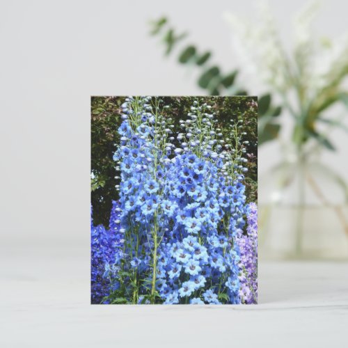 Blue Delphinium Floral Flowers Garden postcard