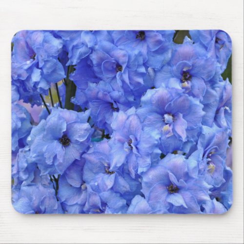 Blue delphinium flowers mouse pad