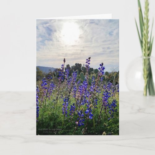 Blue Desert Lupine Flowers Arizona USA Card