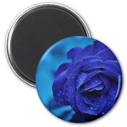 Blue Dewdrop Rose Magnet