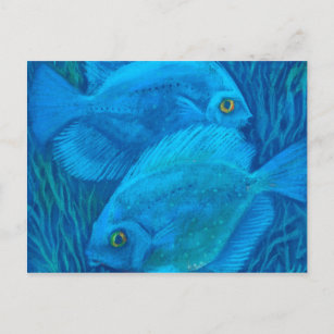 Blue Discuses, Tropical Fish Underwater Animal Art Postcard