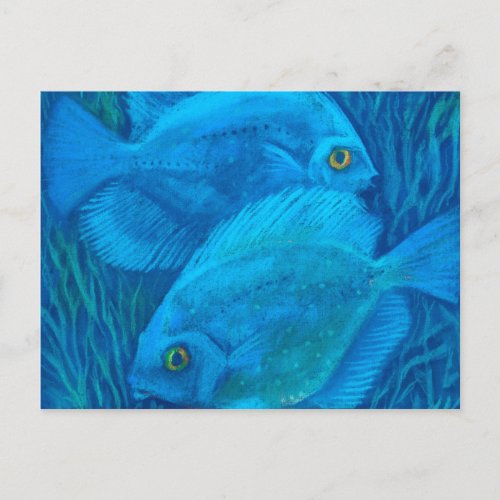 Blue Discuses Tropical Fish Underwater Animal Art Postcard