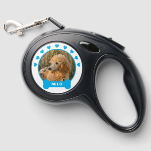 Blue Dog Photo Retractable Pet Leash