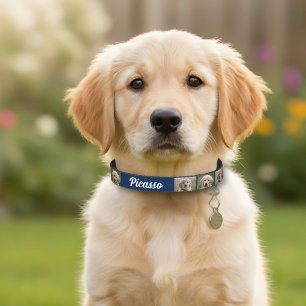 Blue Dog`s Name 2 Photos Pet Collar