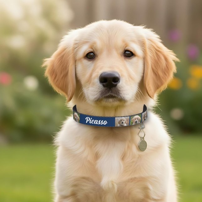 Blue Dog`s Name 2 Photos  Pet Collar (Creator Uploaded)