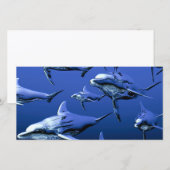 Blue Dolphin (Front/Back)