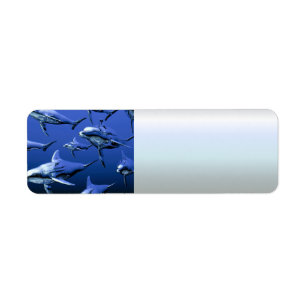 Blue Dolphin Label