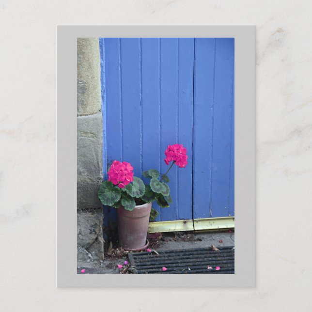 Blue Door in Culross Postcard (Front)