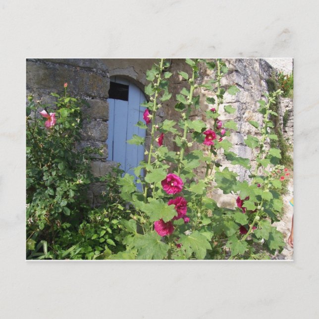 Blue door Provence postcard (Front)