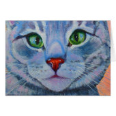 Blue Dora, Grey Tabby Cat (Front Horizontal)